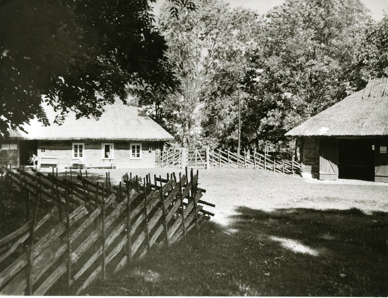 Mihkli Talumuuseumi õu