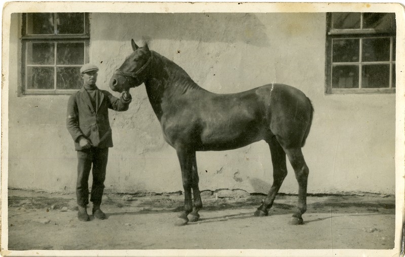 Riigi sugutäkk Karja kodumajanduskoolis