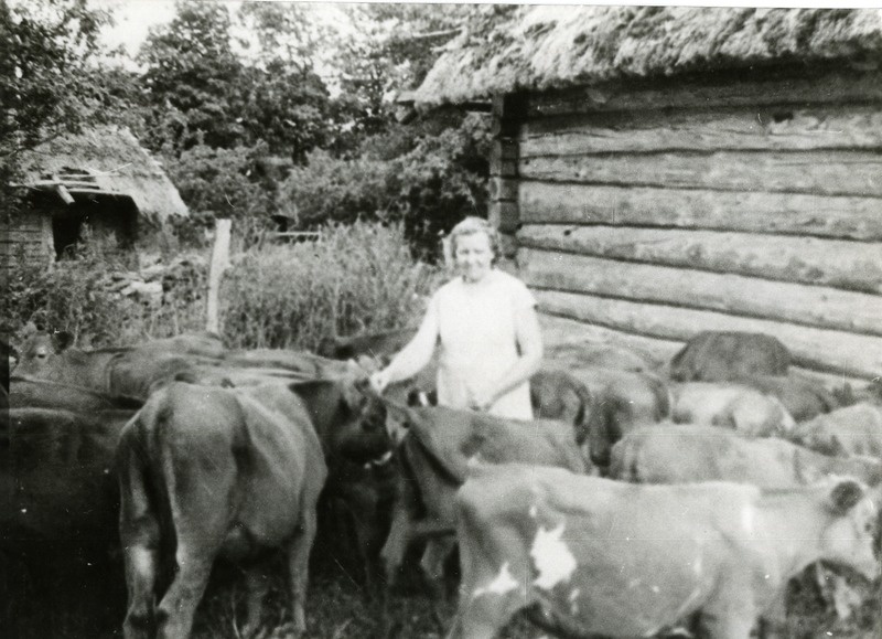 Koidula kolhoosi noorkarjatalitaja Mare Kaljula Varpe külas Köstri talu õues