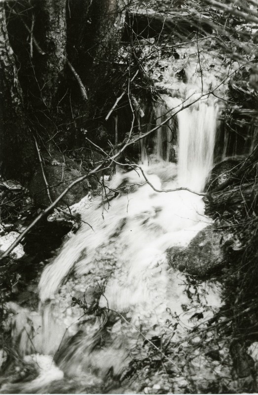 Tagalahte suubuv oja Rannaküla külas Tagamõisa poolsaarel