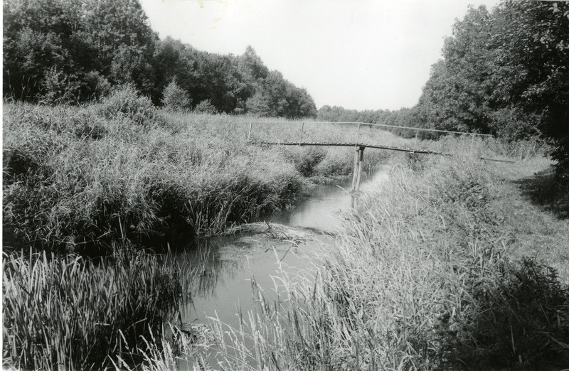 Lõve jõgi Vanalõvel