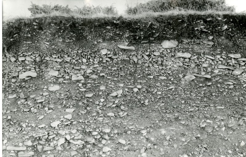 Klibuline rannamuld Loode rannas