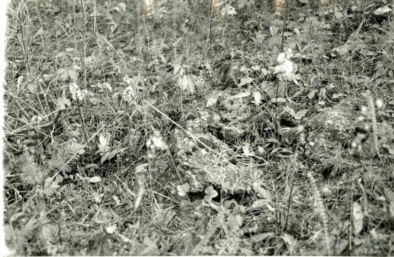 Endine Piila paemurd