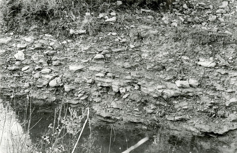 Kuressaare lademe paljand Kudjape küla kraavis