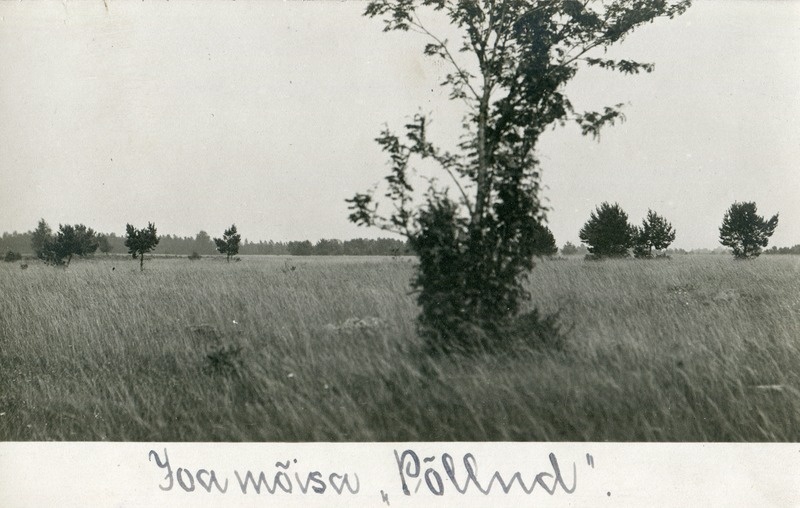 Joa mõisa põllud