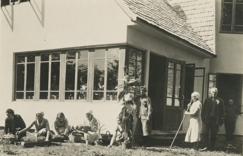 Toalillede istutamine