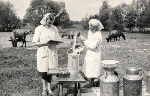 Piimaproovide võtmine