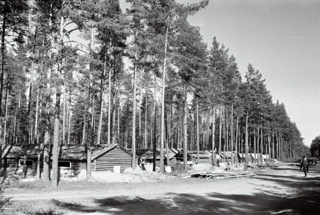Unidentified Forest Houses Harju County