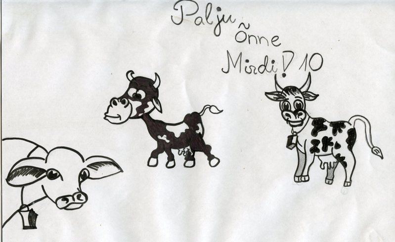 Mirdile sünnipevaks joonistatud õnnitluskaart