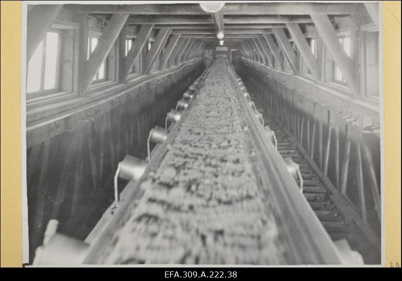 Tootsi Turbabriketi Kombinaadi briketivabriku peatransportöör.