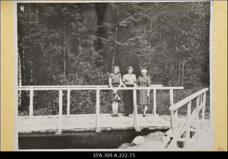 Sild Tootsi asulas Pärnu rajoonis.