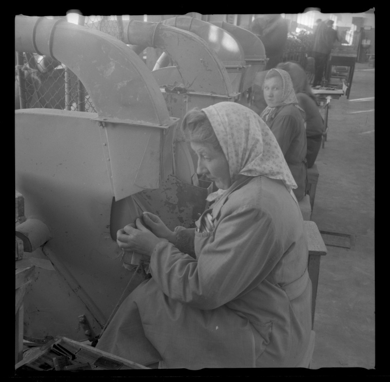 Tartu Kammivabriku tööline kamme lihvimas