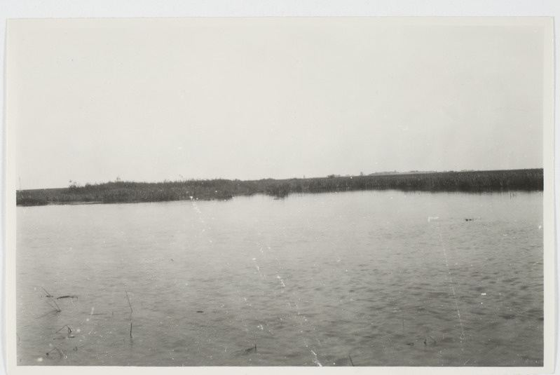 Vaade Voo luhale põhjakaldalt jõesuu kohal, 1929. Võõbsu al, Räpina khk