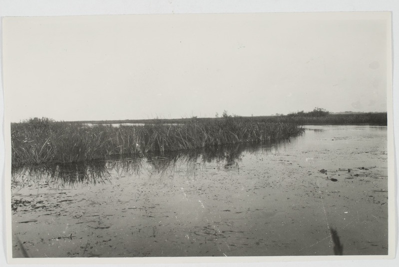 Voo jõesuu Võõbsu lähedal, 1929. Võõbsu al, Räpina khk