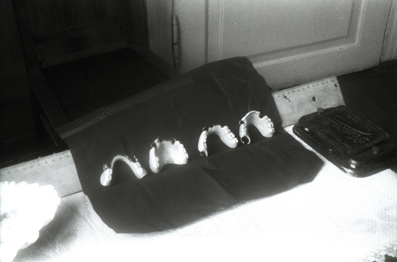 Hambaprotees (stomatoloogia)