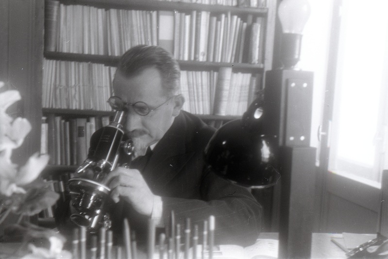 TÜ patoloogilise anatoomia kateedri juhataja (1930-62), arstiteaduskonna dekaan (1946-49) prof Albert Valdes mikroskoobiga