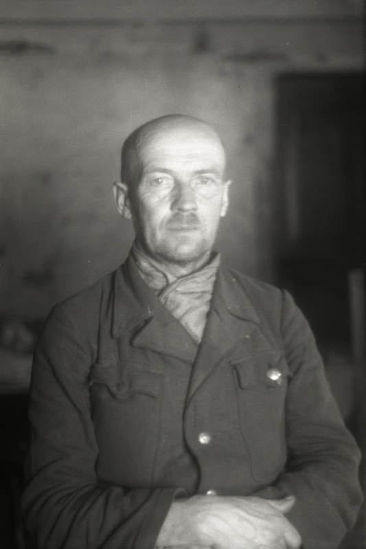Metsavaht Vaher