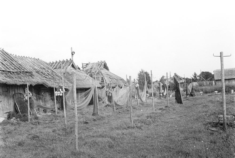 Võrgukuurid Nasva külas