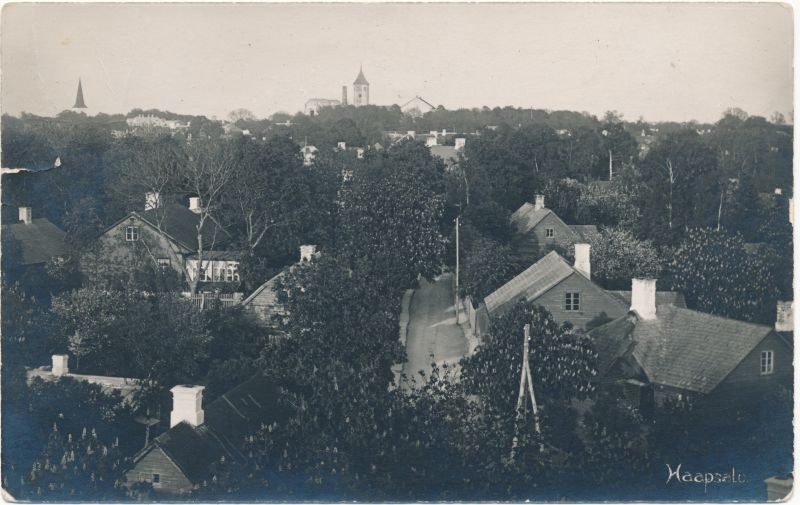 Fotopostkaart. Vaade linnale Kastininalt. 1925.