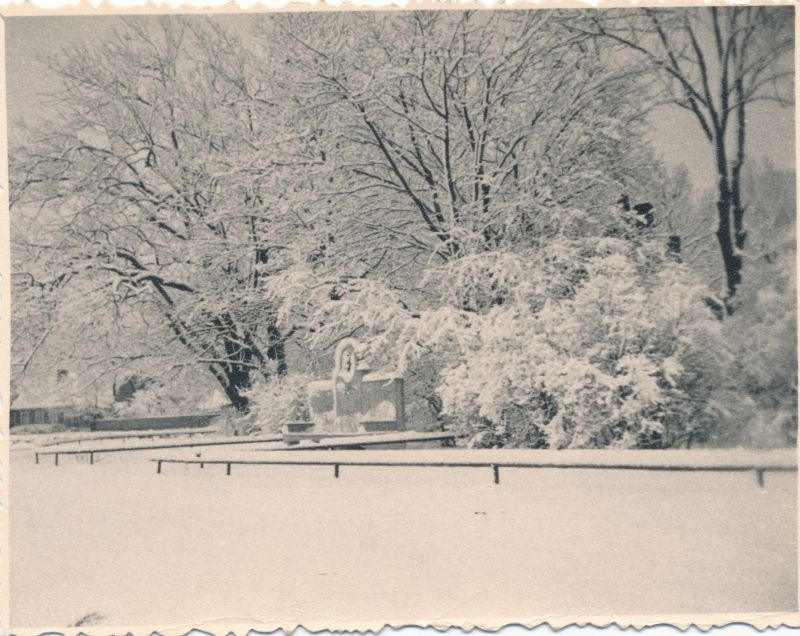 Foto. Tðaikovski pink talvel. 28. dets. 1959. Fotogr. R. Kalk.