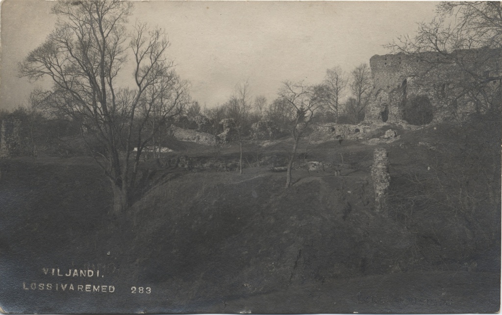 Viljandi castle roofs