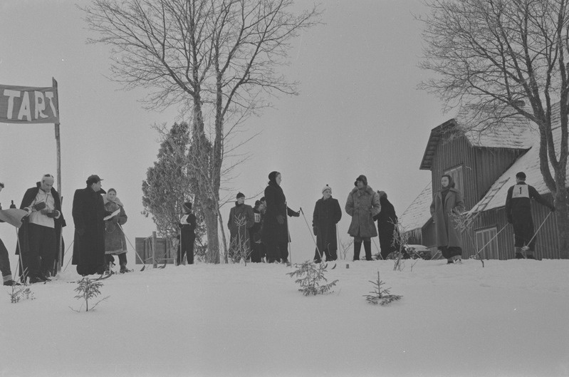 Suusavõistlused Otepääl, Käärikul. Veebruar 1958. a.