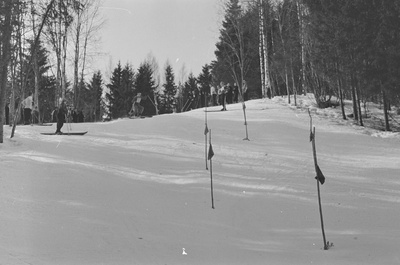 Eesti NSV esivõistlused suusatamises Otepääl. Slaalom. 23.-24. märts 1959. a.  similar photo