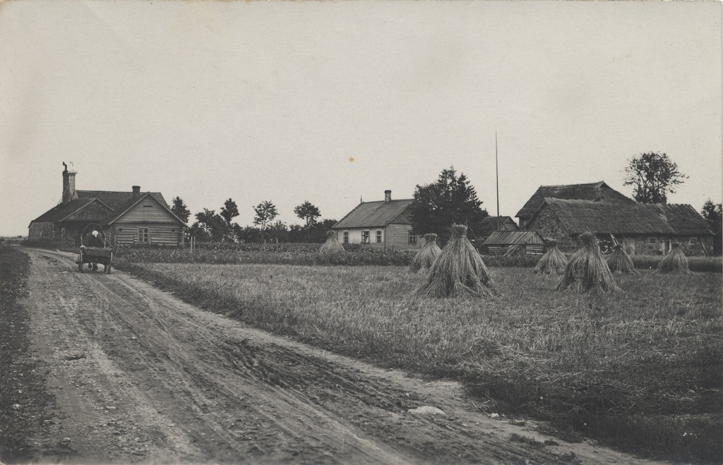 [estonian Farm]