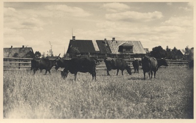 [estonian Farm]  duplicate photo