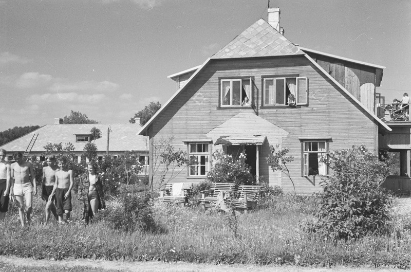 Kääriku. Suvi 1954. a.