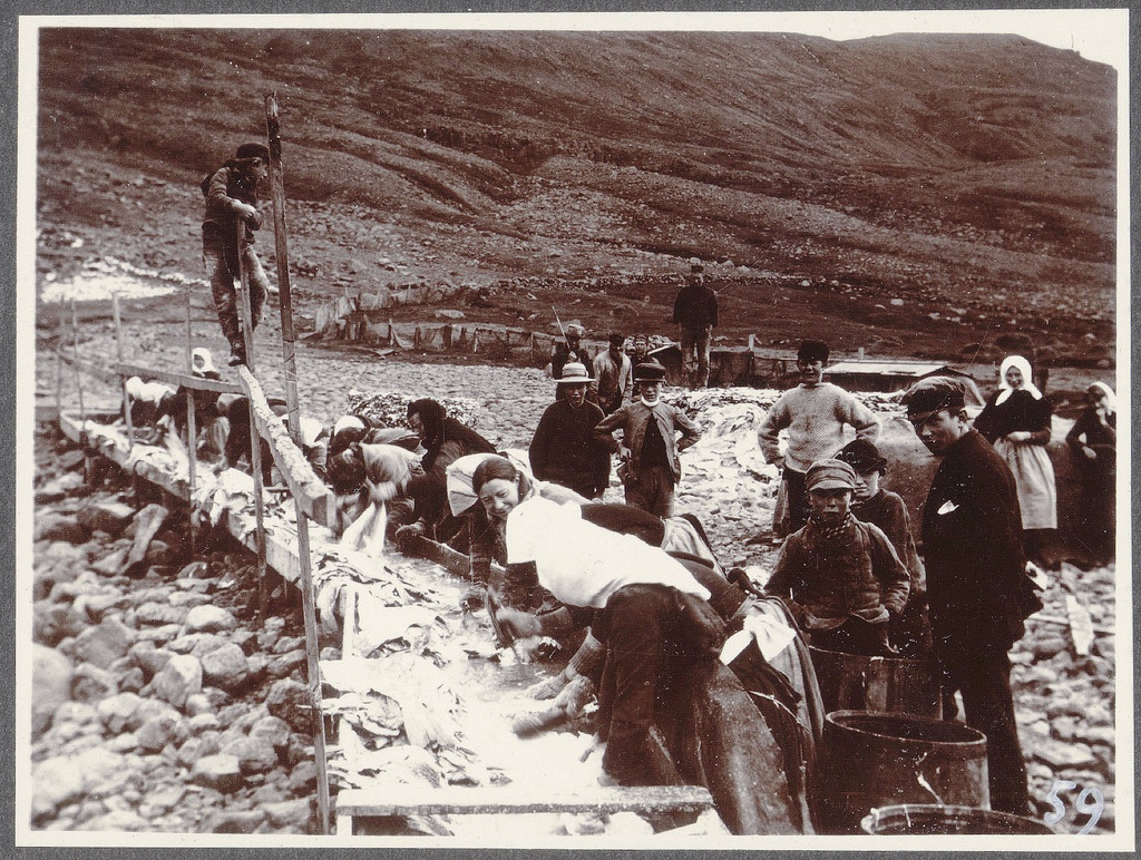 Fish washing. Eskifjörður. Icelandic and Faroe girls.