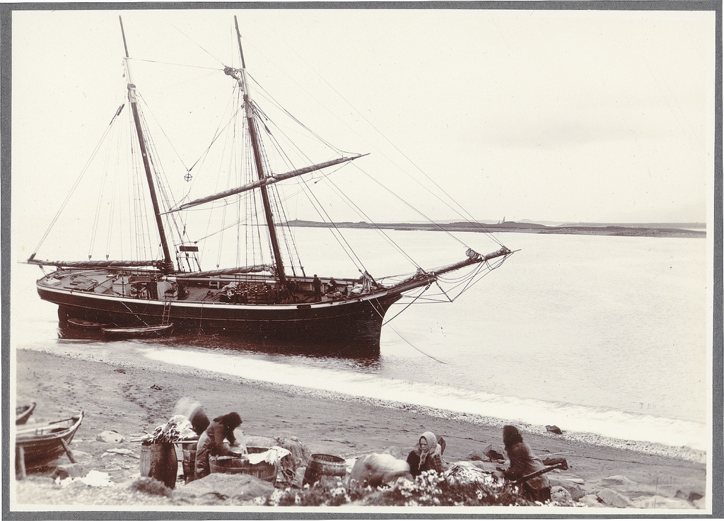 "jason," Reykjavík.