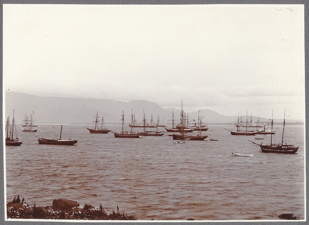 Reykjavík Bay and British training squadron.