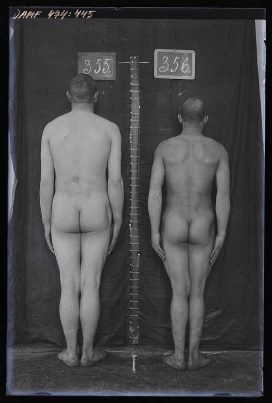 Füüsilise antropoloogia pildistus