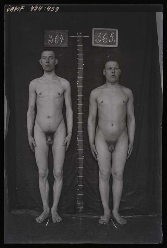 Füüsilise antropoloogia pildistus