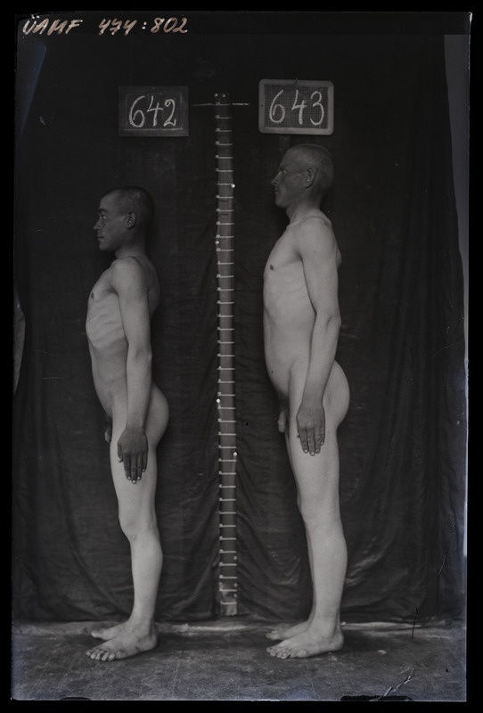 Füüsilise antropoloogia pildistus