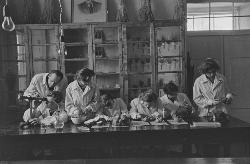 Taimefüsioloogia õppepraktikum Tartu ülikoolis. Vanemõpetajad Aleksander Perk ja Heigo Miidla juhendamas. 19. märts 1960. a.