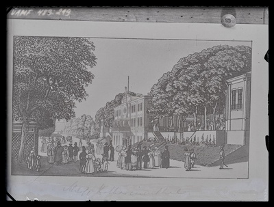[Kadrioru loss]  duplicate photo