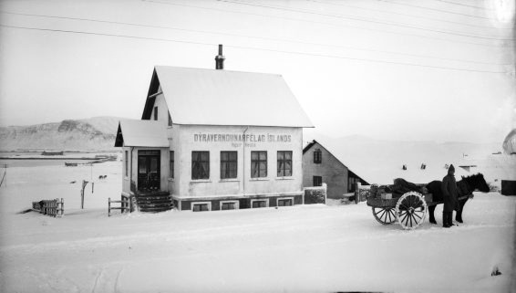 Tunga vich of the official Longaveg, 1920-1930
