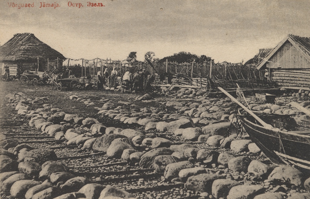 Võrguaed : Jämaja = Island. Ezel