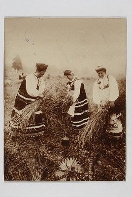 Kolm rahvariides Jämaja naist rukkilõikusel  duplicate photo