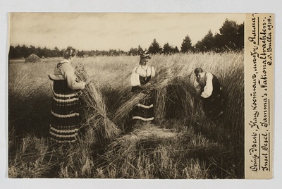 Kolm rahvariides naist rukkilõikamisel, Jämaja khk  duplicate photo