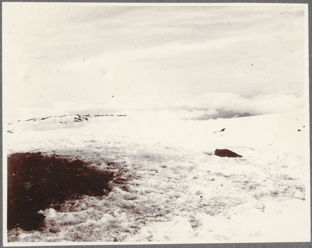 View from the summit of Hekla (c).