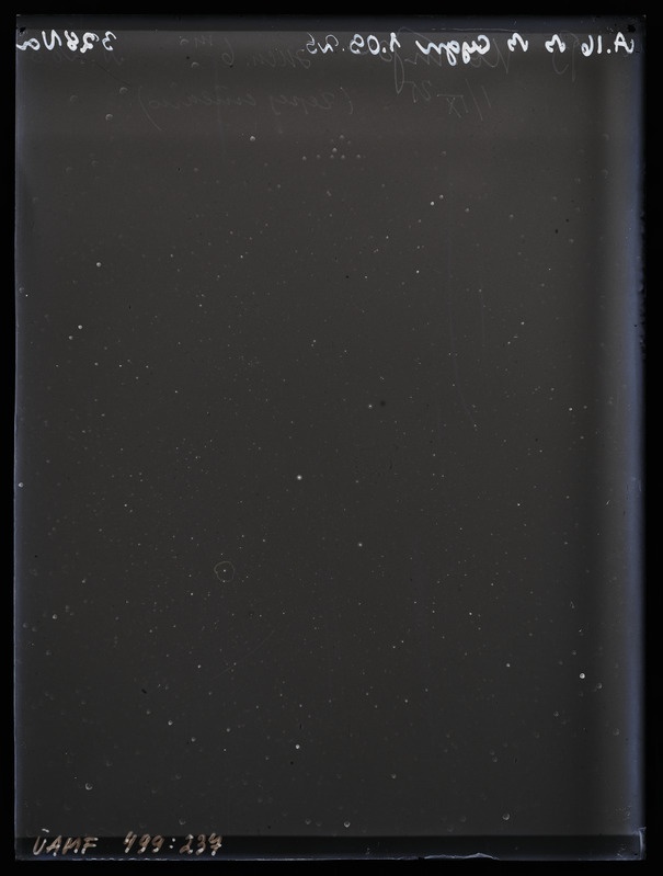 Ülesvõte Luige (Cygnus) tähtkujust. A16 b Cygn 1.09.25 328 Va