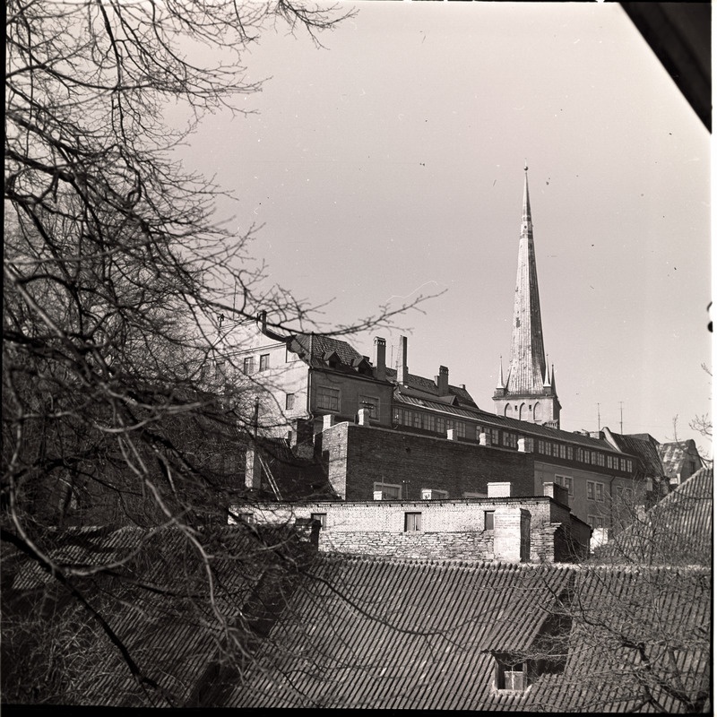 Vaade vanalinna katustele jms