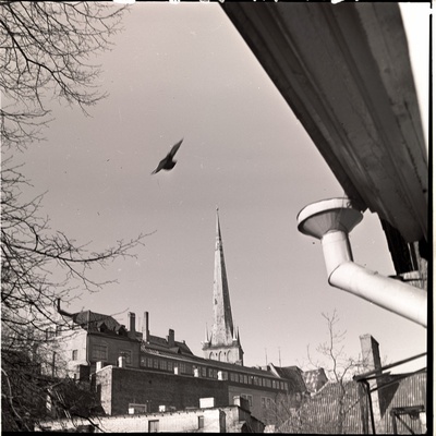 Vaade vanalinna katustele jms  similar photo