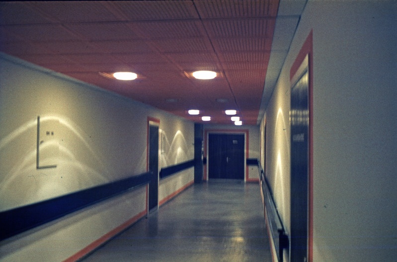 Kirovi näidiskalurikolhoos (NKK): koridor