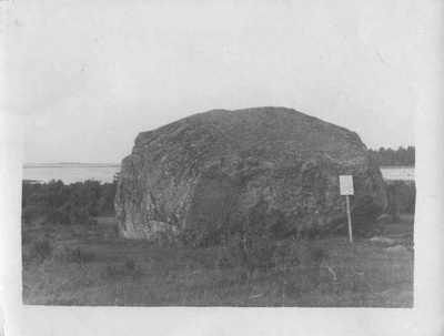 Rändrahn Hiiumaa rannikul  duplicate photo