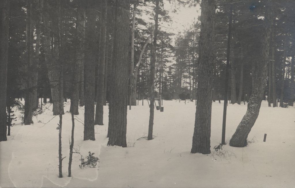 [sillamäe Park]