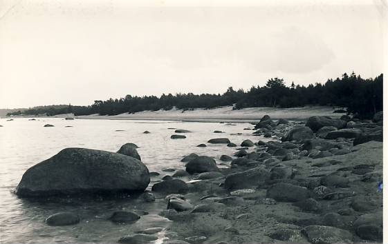Sillamäe
